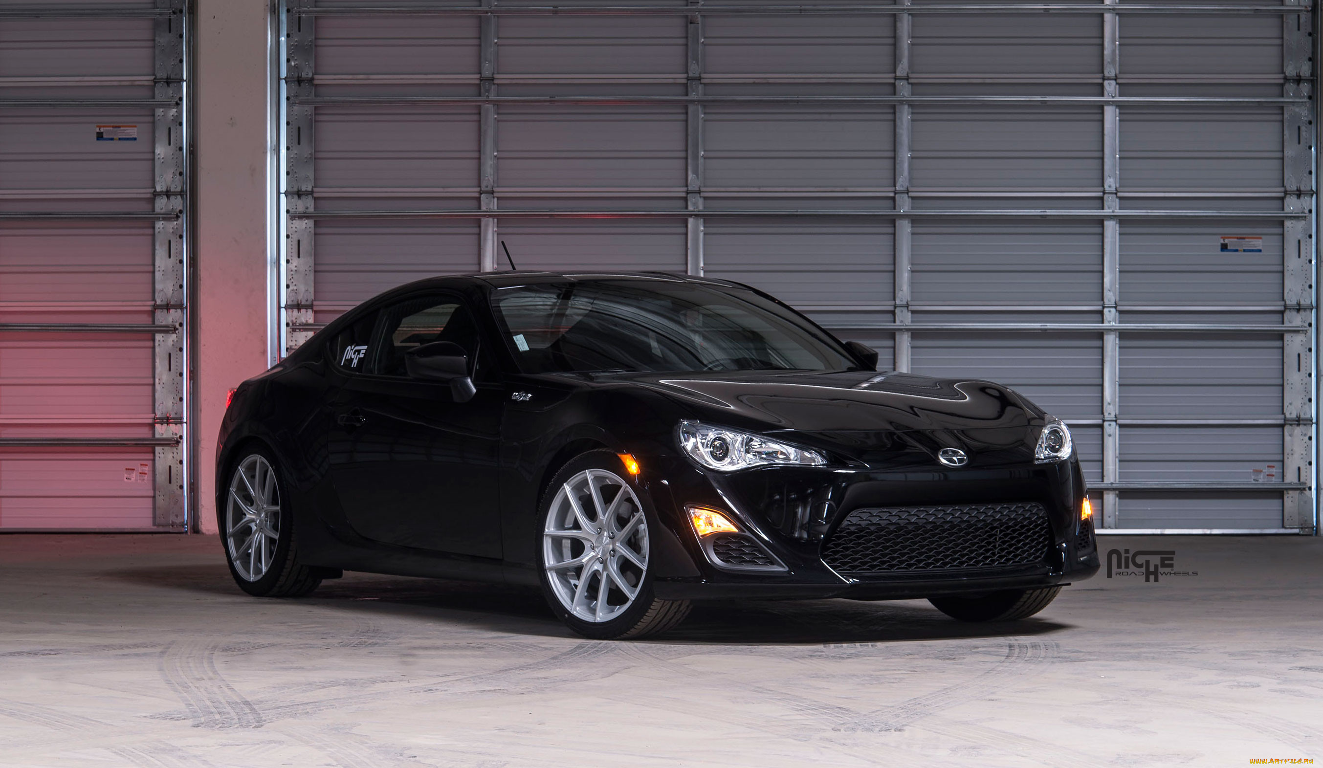 , scion, niche